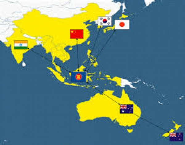 RCEP : chưa ra đời đã gặp chống đối