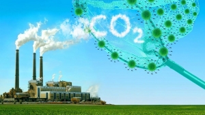 Giảm mức thải CO2, tăng cam kết và thích ngược chiều