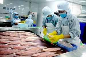 Bộ Thương mại Mỹ tăng thuế chống bán phá giá đối với 5 nhà xuất khẩu cá basa Việt Nam