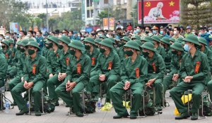 Sự tồn vong của Việt Nam : hiện đại hóa quân đội