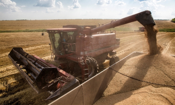 Chiến tranh Ukraine : Nga đình chỉ thỏa thuận xuất khẩu ngũ cốc