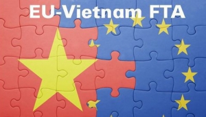 Vi phạm nhân quyền : Việt Nam mất ưu đãi từ EVFTA