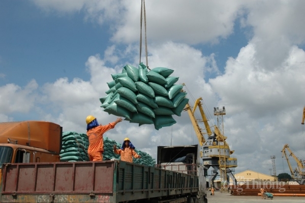 Việt Nam xuất khẩu gạo với giá cao và bỏ ra hàng tỷ USD để mua than và muối