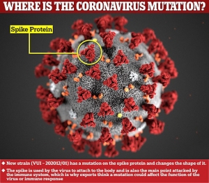Covid : Việt Nam thông báo phát hiện biến thể virus &quot;nguy hiểm gấp bội&quot;