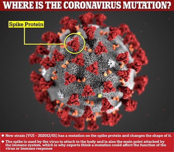 Covid : Việt Nam thông báo phát hiện biến thể virus &quot;nguy hiểm gấp bội&quot;