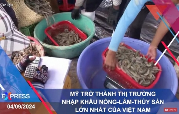 Tin tức thời sự truyền hình 04/09/2024