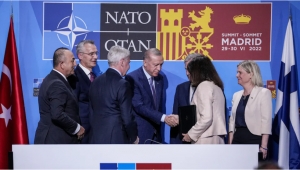 Thượng đỉnh NATO 2022 Madrid : những vận động hành lang