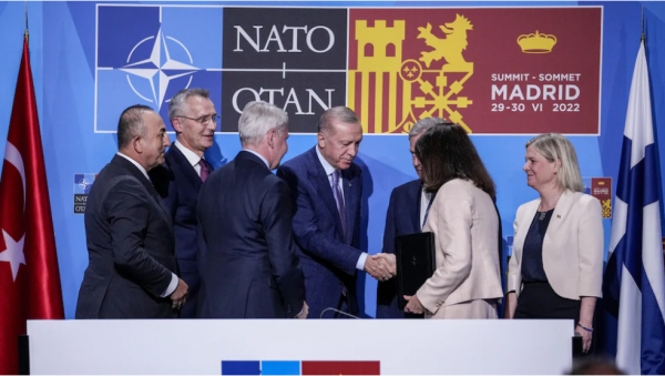 Thượng đỉnh NATO 2022 Madrid : những vận động hành lang