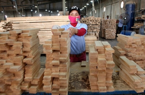 Vì sao doanh nghiệp gỗ Trung Quốc ồ ạt sang Việt Nam đầu tư ?