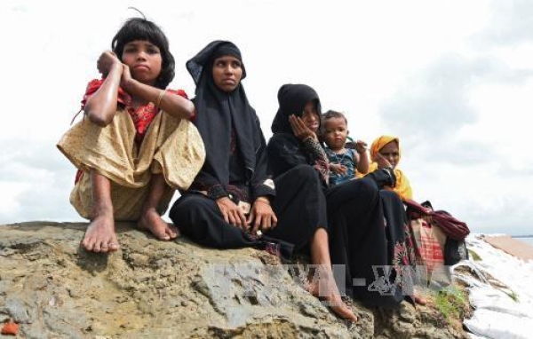 Người Rohingya chưa được phép trở về Rakhine