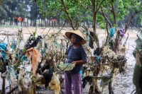 Có đúng chỉ số hài lòng về môi trường của dân Việt ngày càng tăng ?