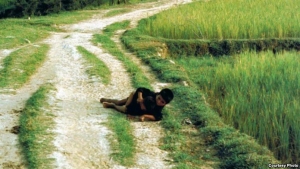 Tranh cãi về bức ảnh ‘Hai em bé Mỹ Lai’ và hành trình tìm sự thật