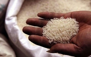 Bãi bỏ quy hoạch chỉ 150 doanh nghiệp mới được xuất khẩu gạo