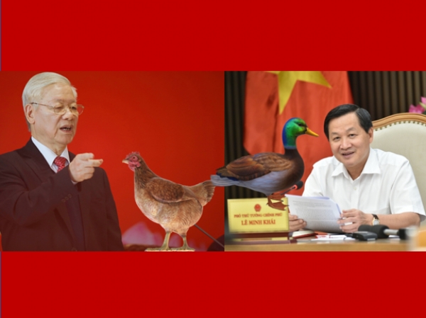 Tình hình kinh tế Việt Nam : ông nói gà, bà nói vịt