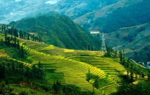 Việt Nam : Đất nước thiên đàng ?