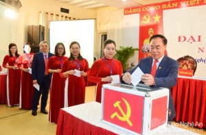 Dân chủ kiểu gì cho Việt Nam ?