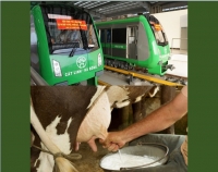 Con bò Cát Linh - Hà Đông tiếp tục bị vắt sữa ?