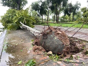 Bão Yagi để lộ tham nhũng và làm ăn tất trách tại Hà Nội