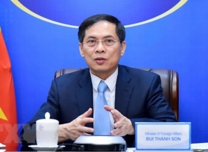 Bộ trưởng Ngoại giao Bùi Thanh Sơn bị đề nghị Bộ Chính trị kỷ luật