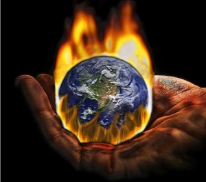 COP15 : Liên Hiệp Quốc lên án &quot;tăng trưởng không kiểm soát&quot; hủy diệt sinh giới