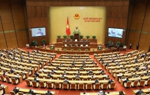 Quốc hội Việt Nam có để làm gì ?