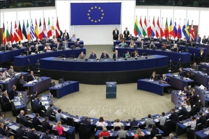 Nghị viện Châu Âu sẽ bỏ phiếu EVFTA vào tháng 2/2020, nhưng…