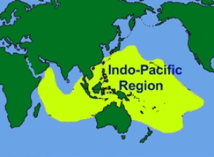 Chiến lược Ấn Độ-Thái Bình Dương và &#039;Tứ đại phát minh&#039;