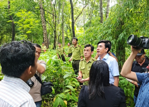 Công luận phản đối dự án phá 600 hecta rừng tự nhiên ở Bình Thuận !