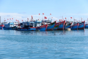 Việt Nam tăng cường lực lượng dân quân biển