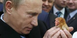 Trump vướng Vòng Kim Cô của Putin ?