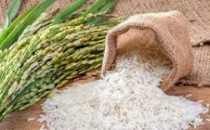 Ngành xuất khẩu gạo của Việt Nam bị ‘bế tắc’ do dịch Covid-19