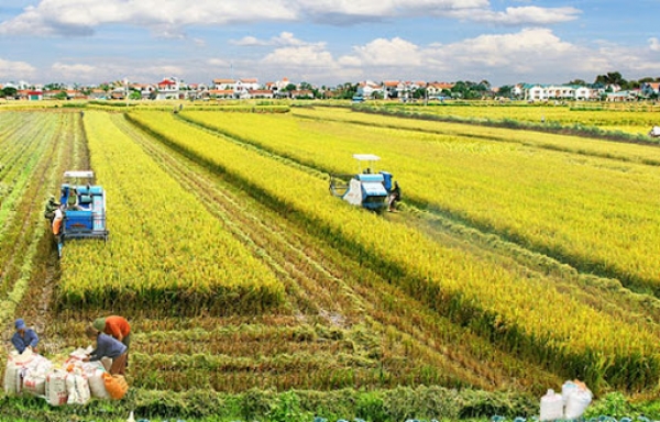 Điểm báo Pháp - Tương lai Đồng bằng sông Cửu Long