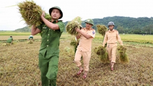 Sao lại là nhiếp ảnh dàn dựng cho tuyên truyền &quot;phong cách Hồ Chí Minh&quot; ?