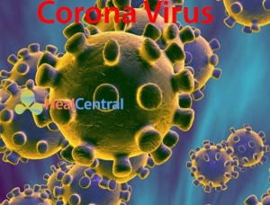 Virus 2019 nCoV lây lang ở Việt Nam và trên thế giới