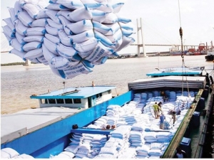 Xuất khẩu gạo của Việt Nam 30 năm nhìn lại
