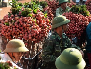 Việt Nam trên tiến trình tìm cách giảm phụ thuộc vào Trung Quốc