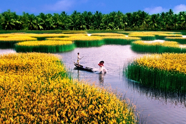 Đồng bằng sông Cửu Long : Thiên đường đã mất