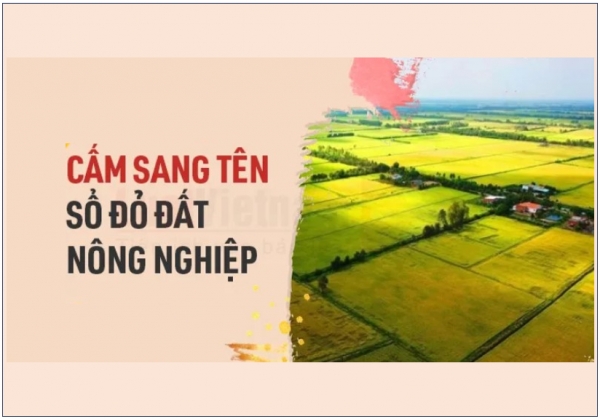 Anh gia hạn quyền thuê bất động sản tới 990 năm, Việt Nam có học được gì ?