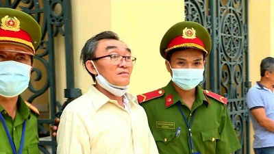 THÔNG LUẬN - Vụ án Triều Đại Việt như thế nào