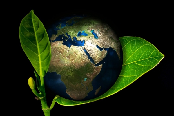 COP26 : Trái đất này là của chúng mình…