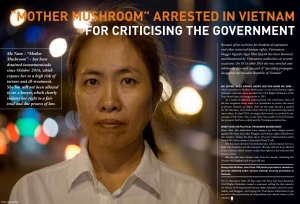 Vụ án Mẹ Nấm : Hoa Kỳ và tổ chức nhân quyền lên tiếng