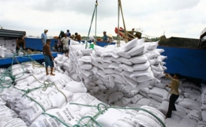 Đinh Tiến Dũng và vụ cấm xuất khẩu gạo năm 2020