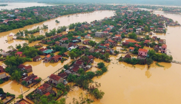 Tăng nhập than và hàng Mỹ, thiên tai ngập lụt, sâu keo tàn phá