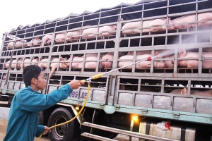 Nợ thuế, chống tham nhũng, sạt lở đất, dịch tả lợn, xe Việt Nam