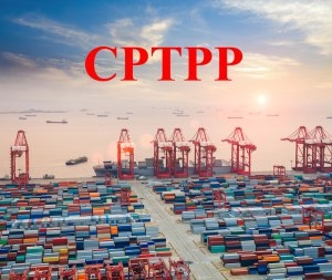 Ký kết CPTPP : Việt Nam có lợi gì ?