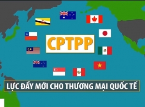 Phê chuẩn Hiệp định CPTPP vào tháng 11/20148